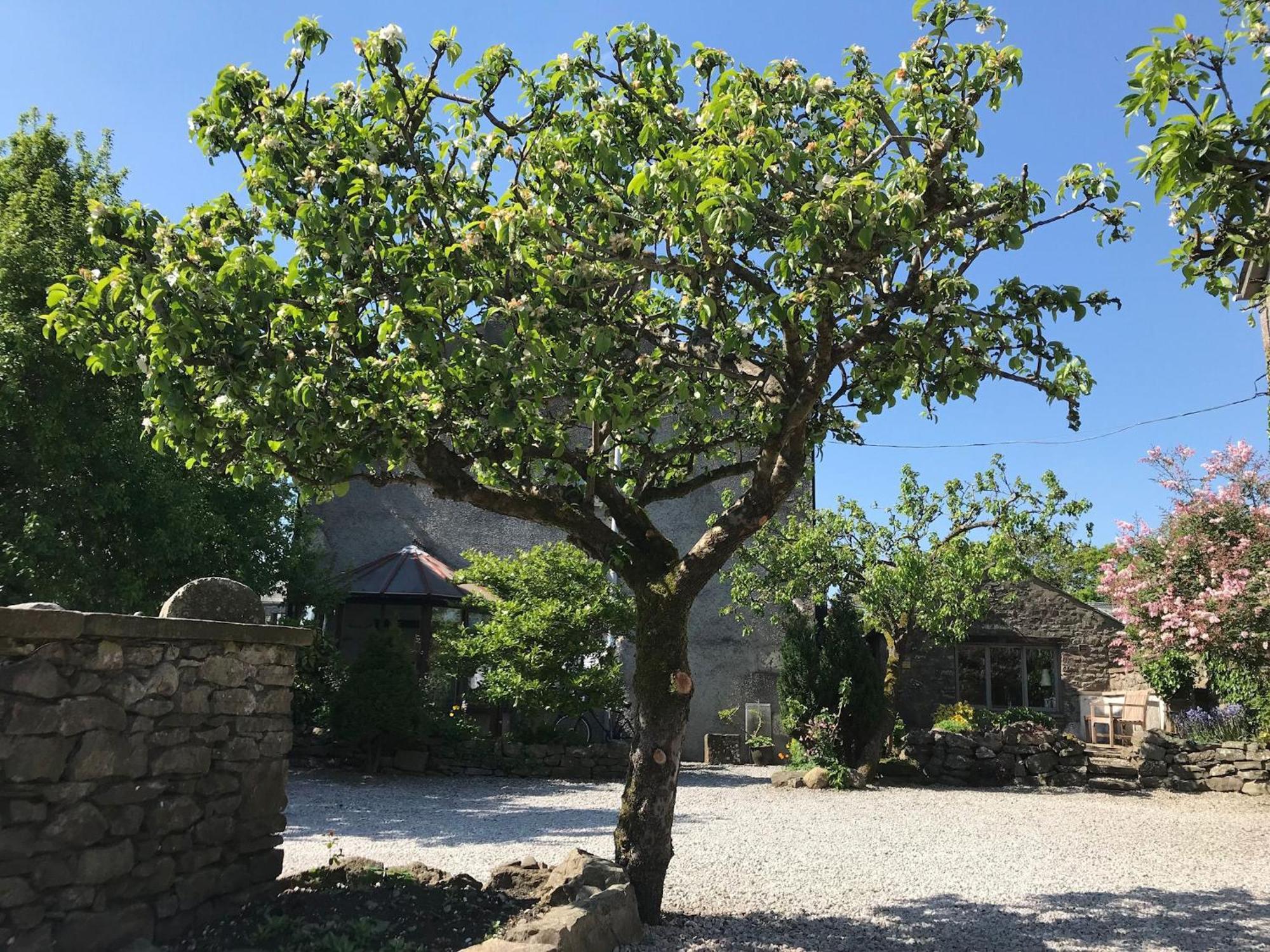 CrooklandsPear Tree Barn别墅 外观 照片